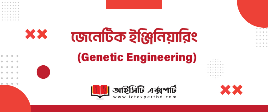 জেনেটিক ইঞ্জিনিয়ারিং (Genetic Engineering) জেনেটিক ইঞ্জিনিয়ারিং (Genetic Engineering)